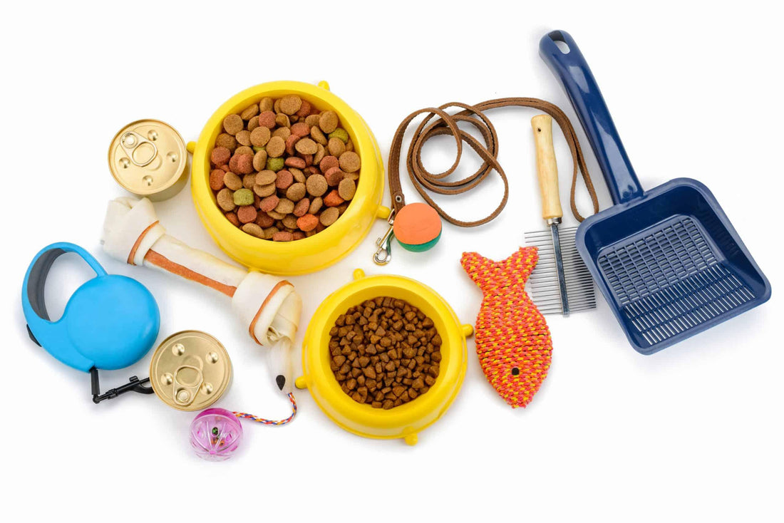 Keeping Your Furry Friend Happy and Healthy: A Guide to Pet Supplies - LinkLogic