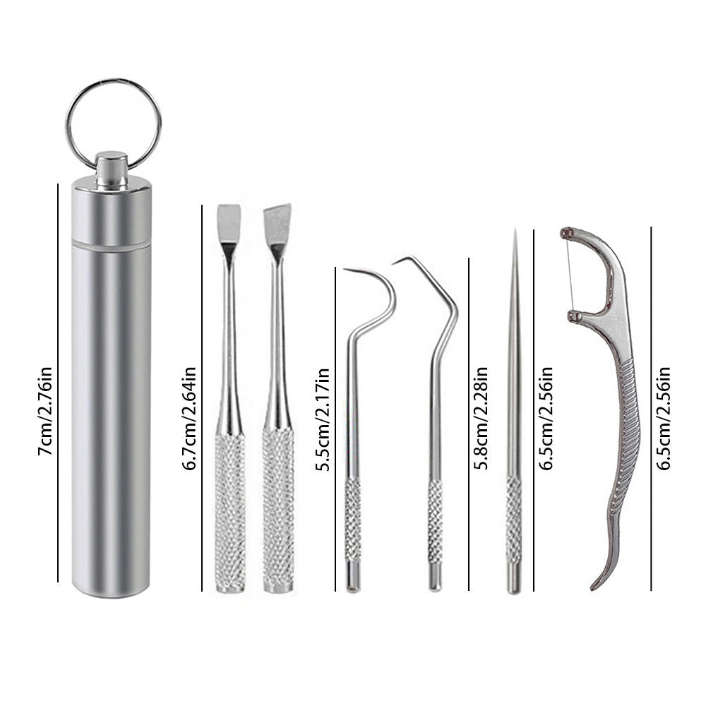 1 Set Toothpick Set Metal Stainless Steel Oral Cleaning Tooth Flossing Portable Toothpick Floss Teeth Cleaner with Storage Tube