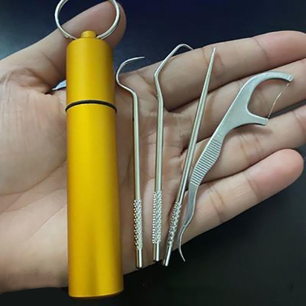 Metal Toothpick Set