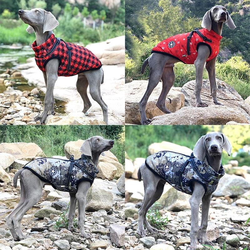 Winter Dog Clothes For Small Dogs Warm Fleece Large Dog Jacket Waterproof Pet Coat With Harness Chihuahua Clothing Puppy Costume